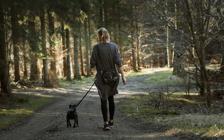 Vrouw laat hond uit in het bos