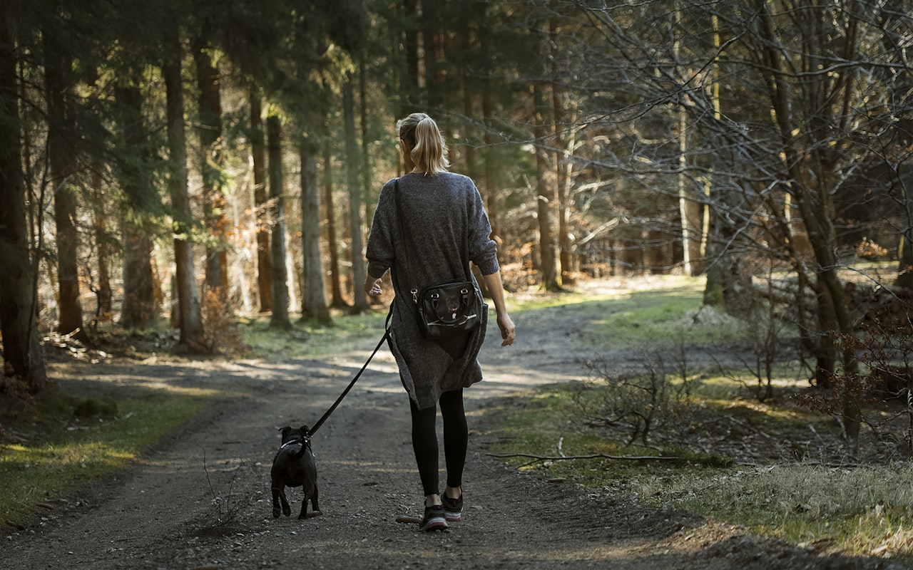 Vrouw laat hond uit in het bos