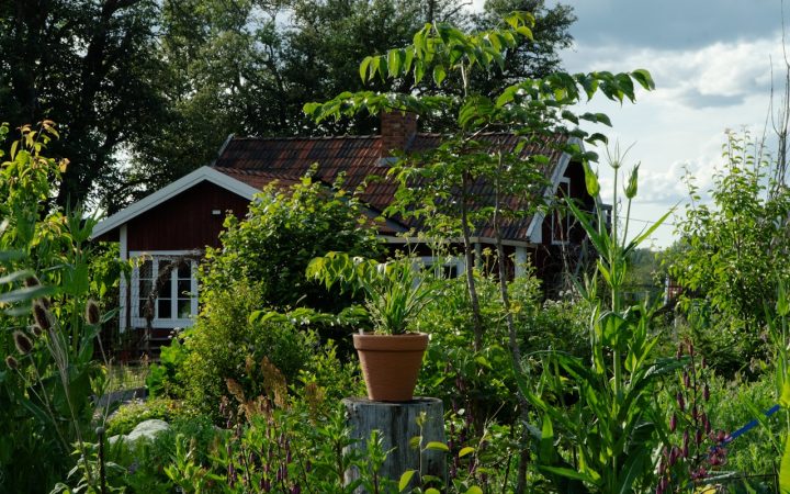 Wat kost een huis in Zweden