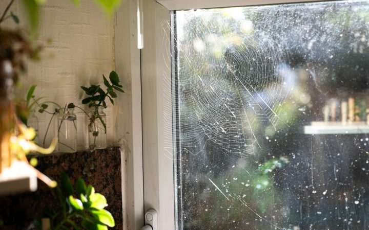 Wat kost een aansprakelijkheidsverzekering