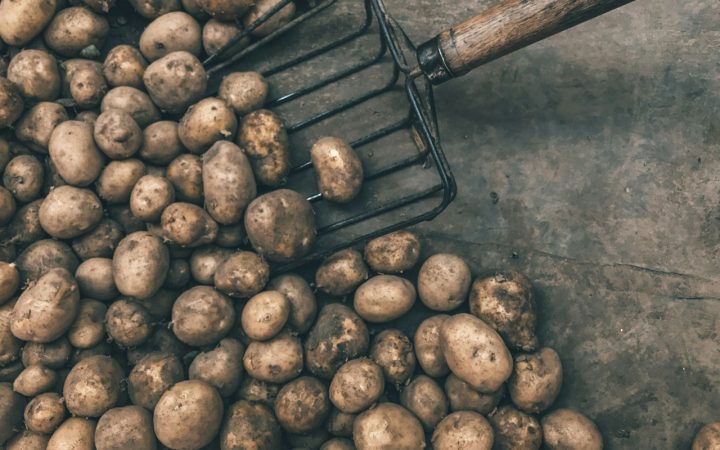 Wat kosten aardappelen per kilo
