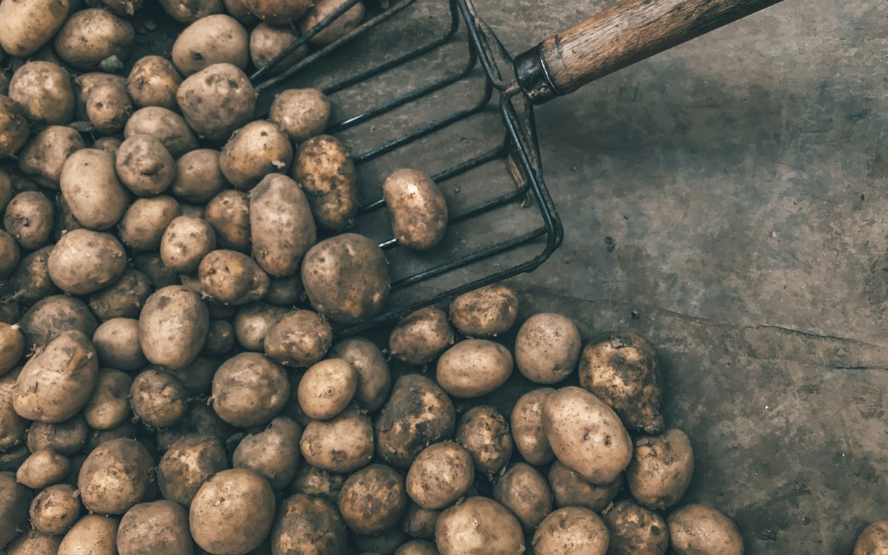 Wat kosten aardappelen per kilo